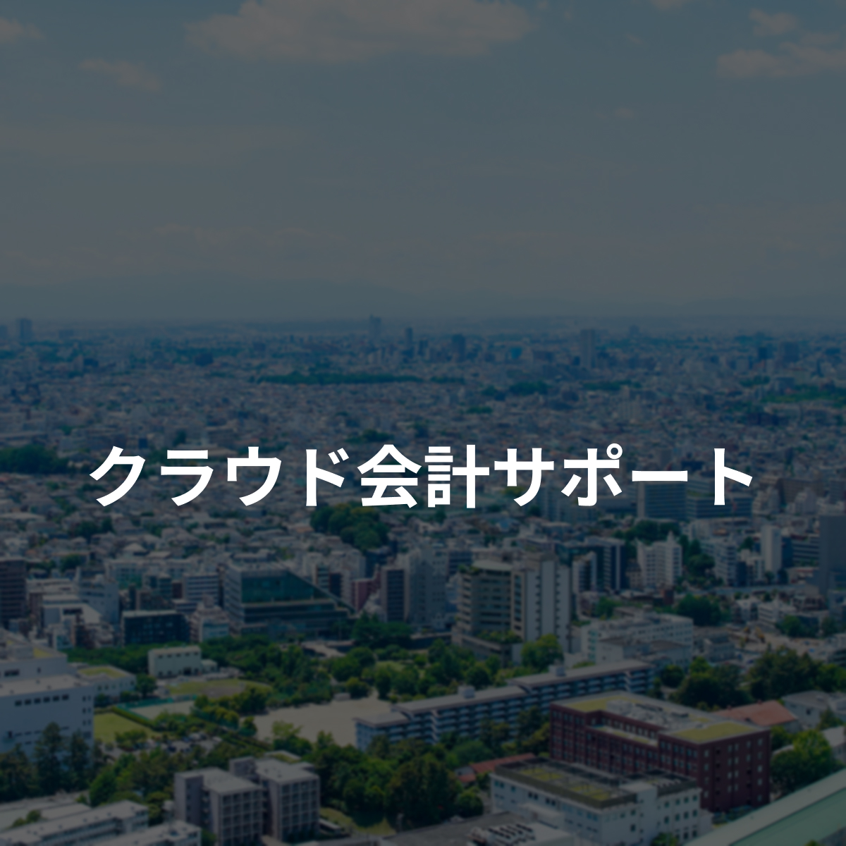 クラウド会計サポート